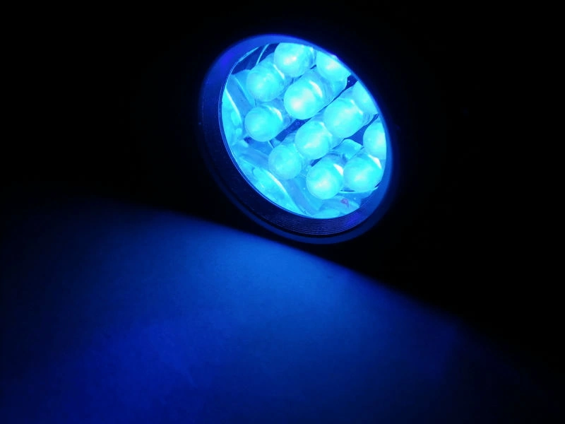 12-LED UV Flashlight / UV LED Lighting 1