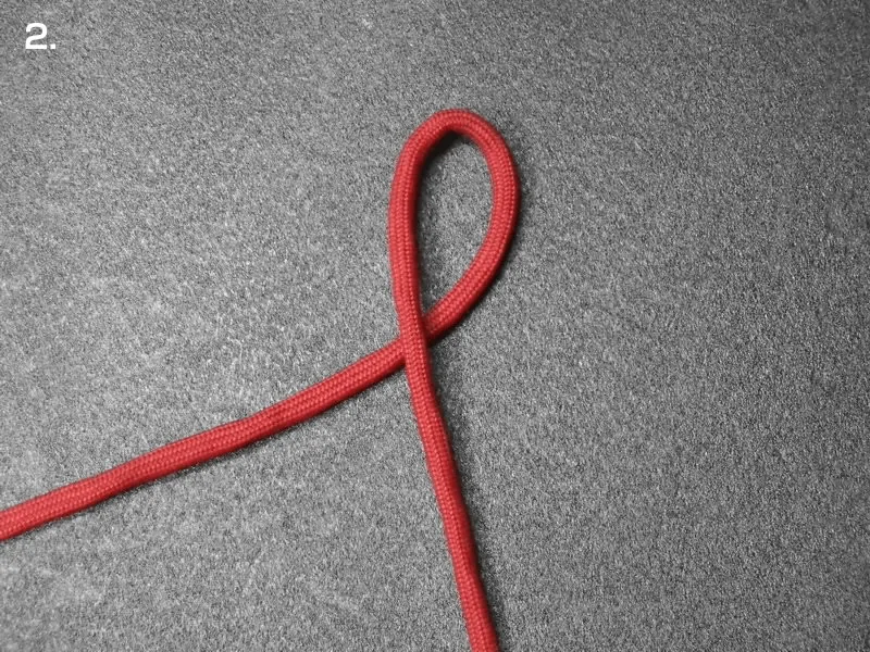 snake knot