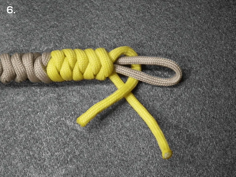 Confront snake knot