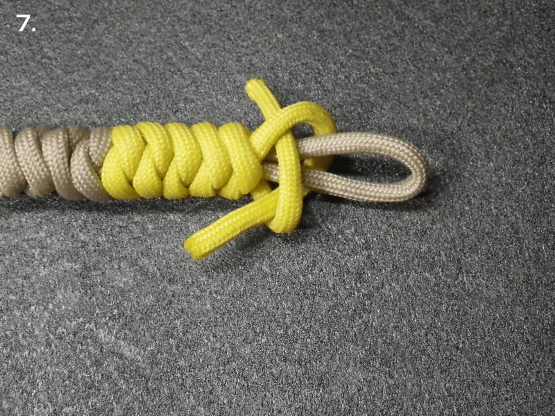 Confront snake knot