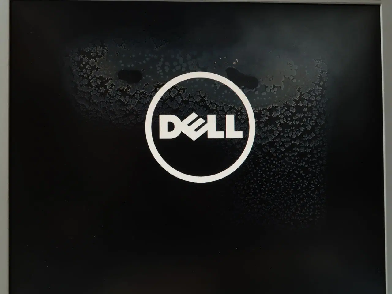 DELL PRECISION TOWER 5810 / 起動画面