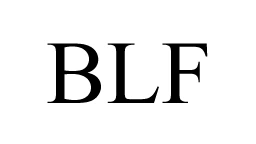 Budget Light Forum Logo