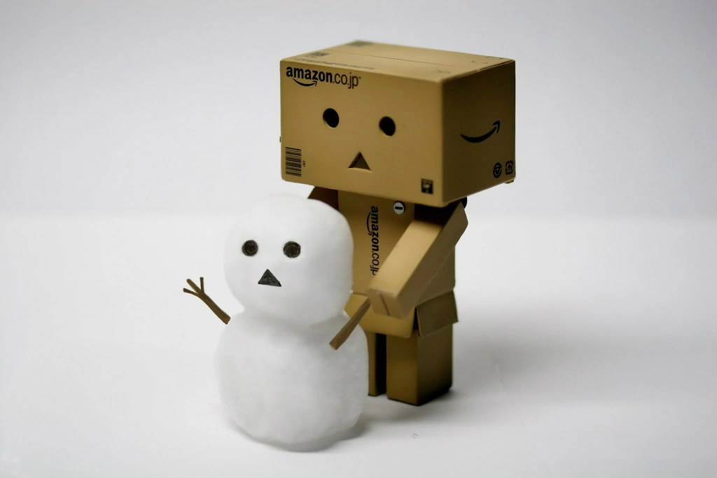 DANBOARD with Snow-man